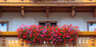 Un balcone sempre fiorito 691 0 065 Un balcone sempre fiorito